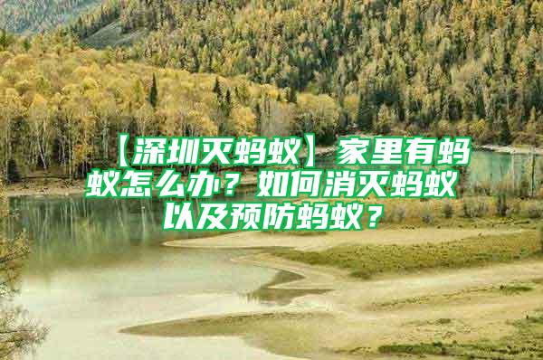 【深圳灭蚂蚁】家里有蚂蚁怎么办？如何消灭蚂蚁以及预防蚂蚁？