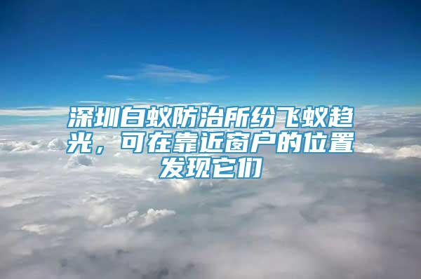 深圳白蚁防治所纷飞蚁趋光，可在靠近窗户的位置发现它们