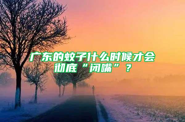 广东的蚊子什么时候才会彻底“闭嘴”？