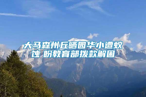 大马森州丘晒园华小遭蚁蚀　盼教育部拨款解困