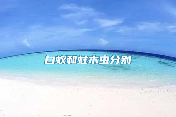 白蚁和蛀木虫分别