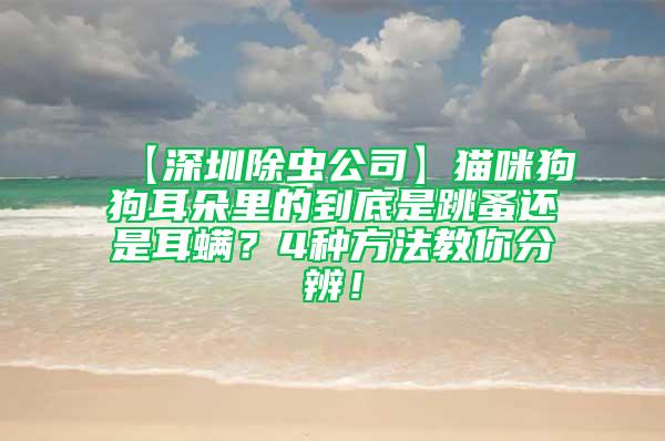 【深圳除虫公司】猫咪狗狗耳朵里的到底是跳蚤还是耳螨？4种方法教你分辨！