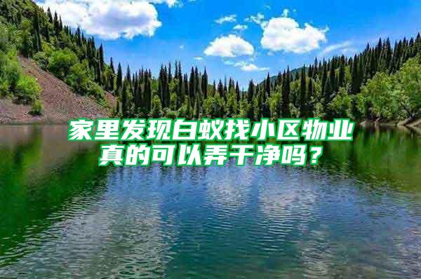 家里发现白蚁找小区物业真的可以弄干净吗？