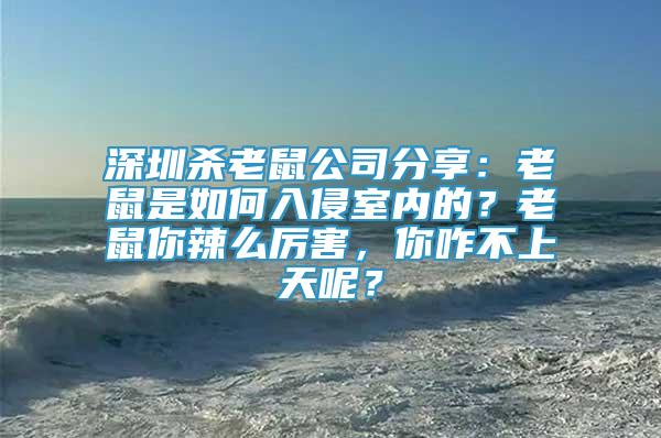 深圳杀老鼠公司分享：老鼠是如何入侵室内的？老鼠你辣么厉害，你咋不上天呢？