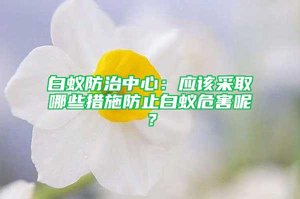 白蚁防治中心：应该采取哪些措施防止白蚁危害呢？