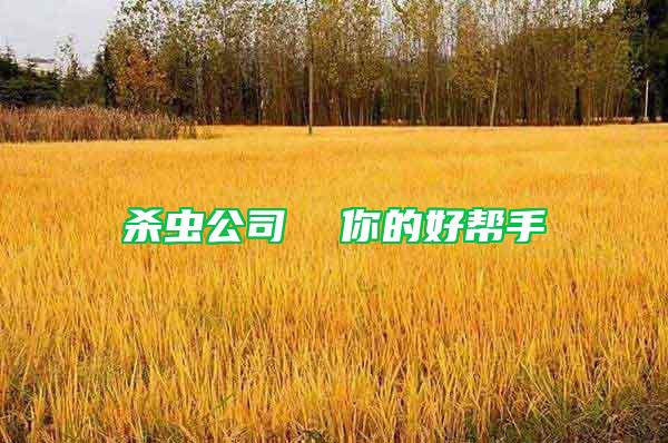 杀虫公司  你的好帮手