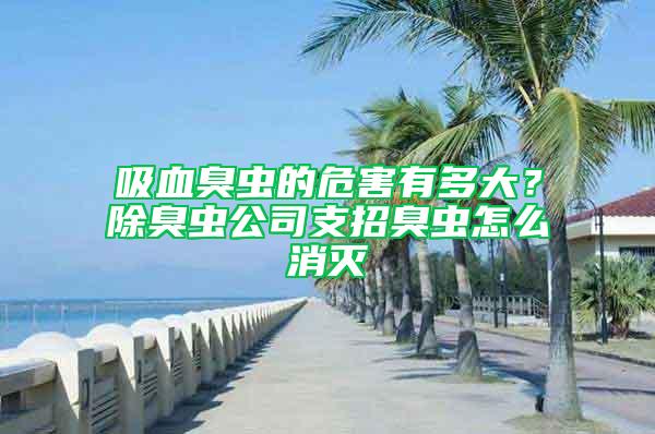 吸血臭虫的危害有多大？除臭虫公司支招臭虫怎么消灭