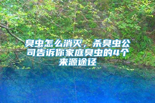 臭虫怎么消灭，杀臭虫公司告诉你家庭臭虫的4个来源途径