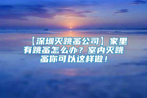 【深圳灭跳蚤公司】家里有跳蚤怎么办？室内灭跳蚤你可以这样做！