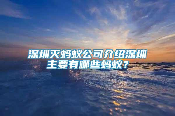 深圳灭蚂蚁公司介绍深圳主要有哪些蚂蚁？