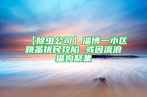 【除虫公司】淄博一小区跳蚤扰民攻陷 或因流浪猫狗聚集