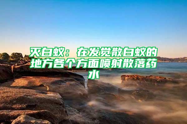 灭白蚁：在发觉散白蚁的地方各个方面喷射散落药水