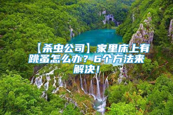 【杀虫公司】家里床上有跳蚤怎么办？6个方法来解决！