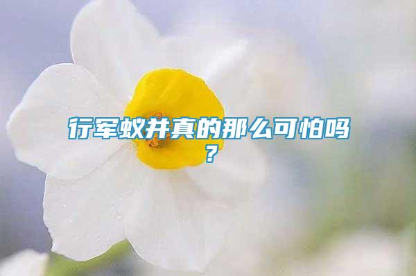 行军蚁并真的那么可怕吗？