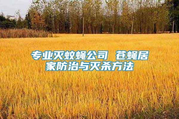 专业灭蚊蝇公司 苍蝇居家防治与灭杀方法