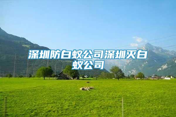 深圳防白蚁公司深圳灭白蚁公司