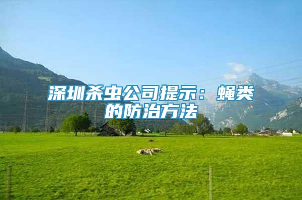 深圳杀虫公司提示：蝇类的防治方法