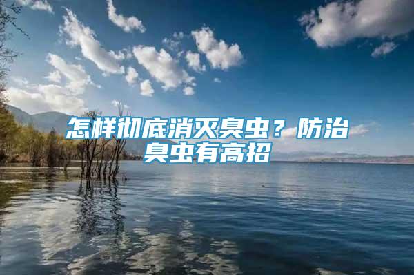 怎样彻底消灭臭虫？防治臭虫有高招