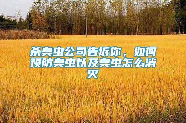 杀臭虫公司告诉你，如何预防臭虫以及臭虫怎么消灭