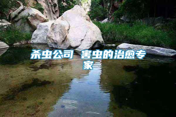 杀虫公司 害虫的治愈专家