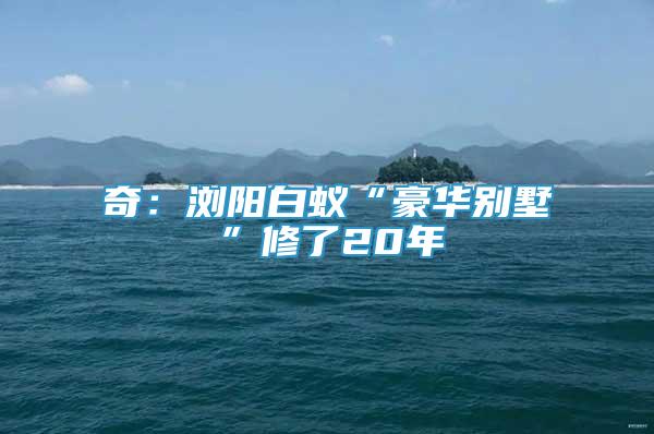 奇：浏阳白蚁“豪华别墅”修了20年