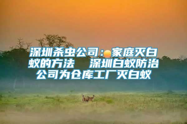 深圳杀虫公司：家庭灭白蚁的方法  深圳白蚁防治公司为仓库工厂灭白蚁