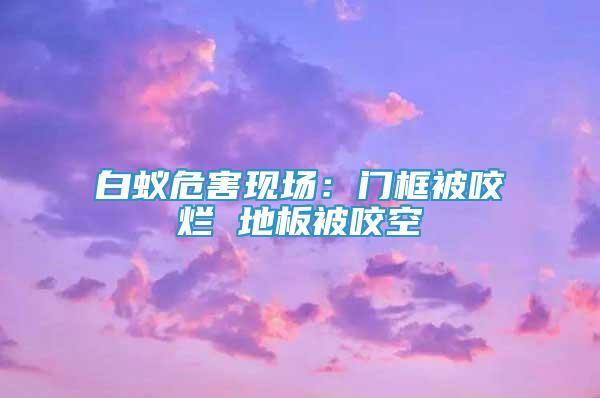 白蚁危害现场：门框被咬烂 地板被咬空