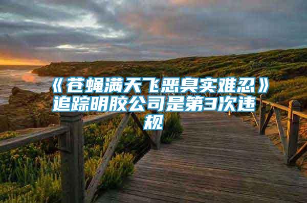 《苍蝇满天飞恶臭实难忍》追踪明胶公司是第3次违规