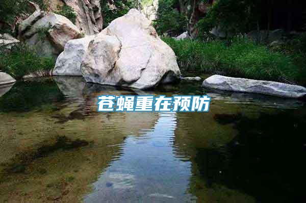 苍蝇重在预防