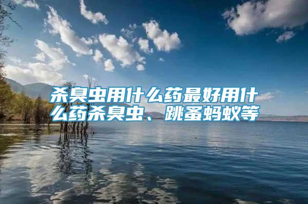 杀臭虫用什么药最好用什么药杀臭虫、跳蚤蚂蚁等