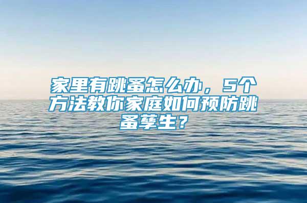 家里有跳蚤怎么办，5个方法教你家庭如何预防跳蚤孳生？