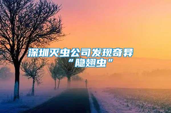 深圳灭虫公司发现奇异“隐翅虫”