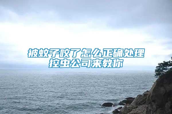 被蚊子咬了怎么正确处理控虫公司来教你