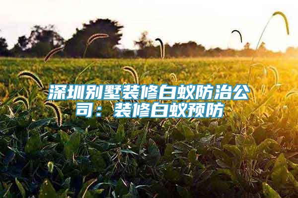 深圳别墅装修白蚁防治公司：装修白蚁预防