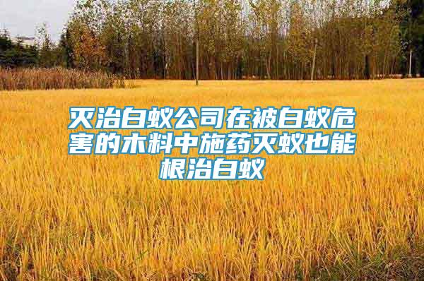 灭治白蚁公司在被白蚁危害的木料中施药灭蚁也能根治白蚁