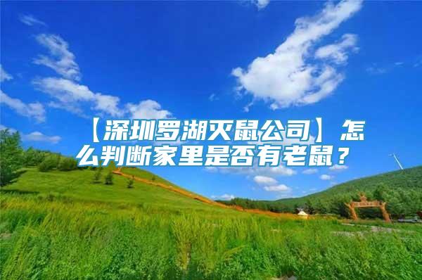 【深圳罗湖灭鼠公司】怎么判断家里是否有老鼠？