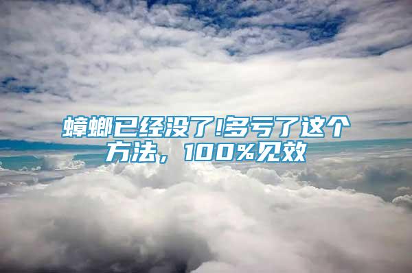 蟑螂已经没了!多亏了这个方法，100%见效