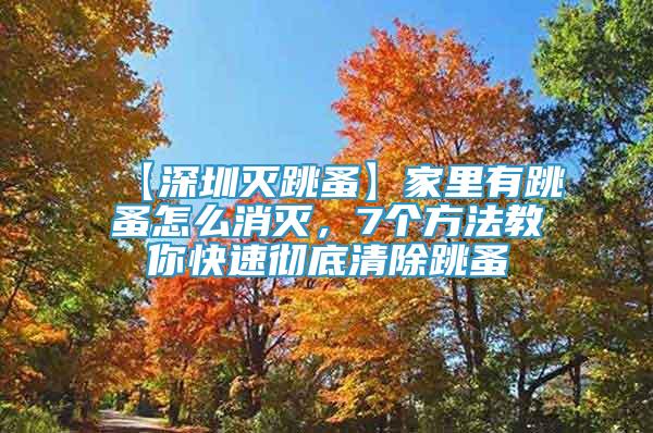 【深圳灭跳蚤】家里有跳蚤怎么消灭，7个方法教你快速彻底清除跳蚤