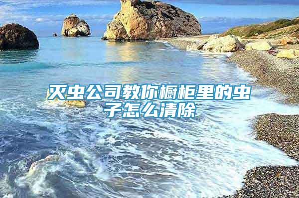 灭虫公司教你橱柜里的虫子怎么清除