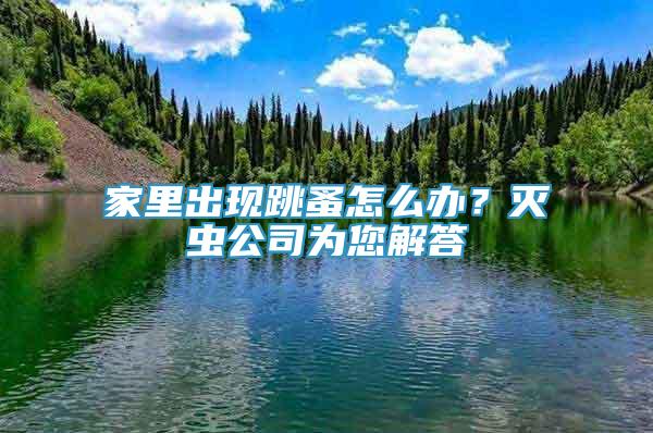 家里出现跳蚤怎么办？灭虫公司为您解答