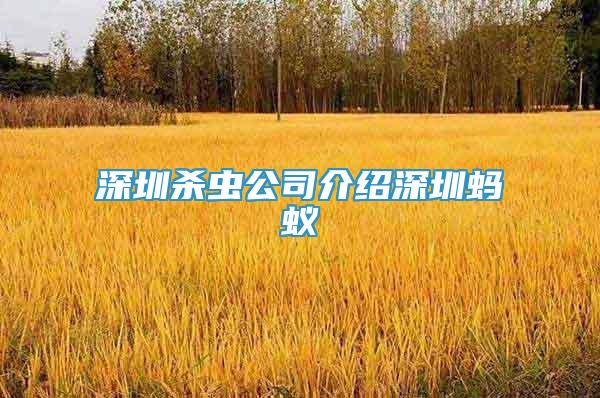 深圳杀虫公司介绍深圳蚂蚁