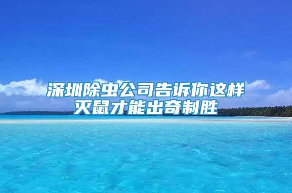 深圳除虫公司告诉你这样灭鼠才能出奇制胜