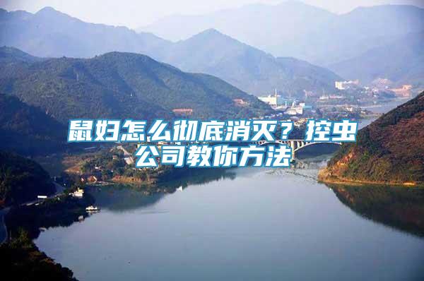 鼠妇怎么彻底消灭？控虫公司教你方法