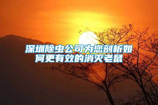 深圳除虫公司为您剖析如何更有效的消灭老鼠