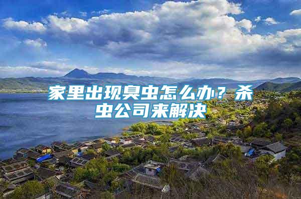 家里出现臭虫怎么办？杀虫公司来解决