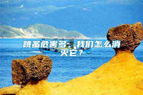 跳蚤危害多，我们怎么消灭它？