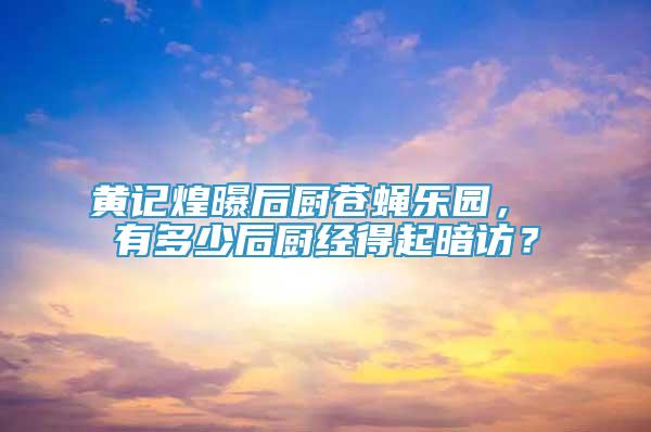 黄记煌曝后厨苍蝇乐园， 有多少后厨经得起暗访？