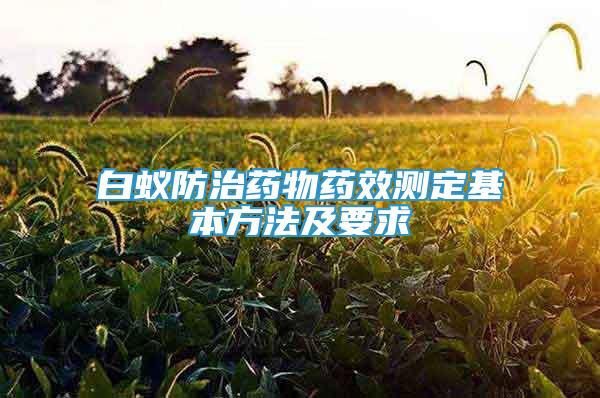 白蚁防治药物药效测定基本方法及要求