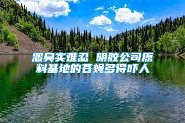 恶臭实难忍 明胶公司原料基地的苍蝇多得吓人