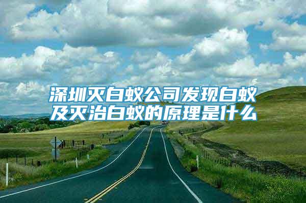 深圳灭白蚁公司发现白蚁及灭治白蚁的原理是什么